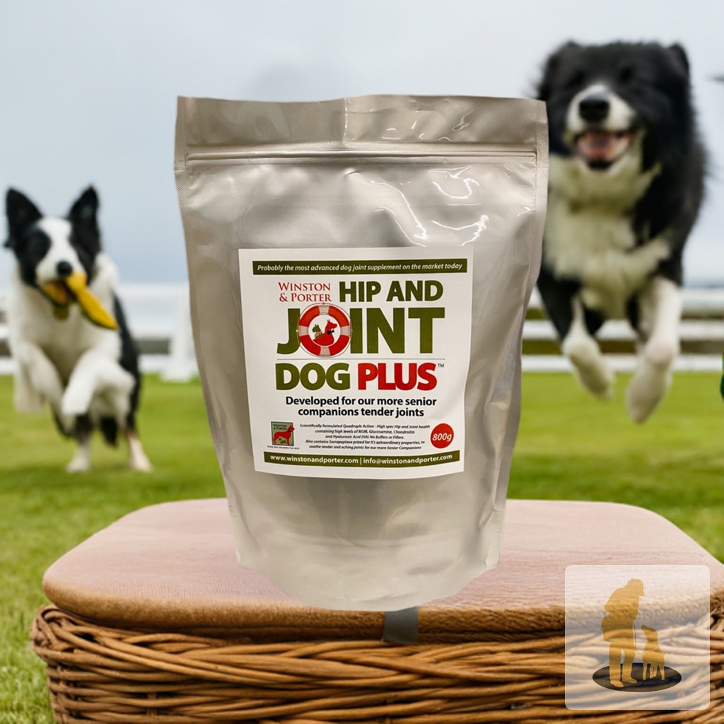 Did you know that your dog's mobility can be improved significantly with the right support? 

Hip & Joint Dog PLUS is designed to help your furry friend move with ease and comfort, no matter their age. 

Packed with a powerful blend of Glucosamine, Chondroitin, MSM, and Hyaluronic Acid, this premium joint support powder works wonders for seniors and those in recovery. 

Keep your pup happy and active—grab yours now for £23.70! 

https://ssdlr.shop/l/f30633fe

#CanineCare #HappyPaws #JointHealth #DogLovers #PetWellness
