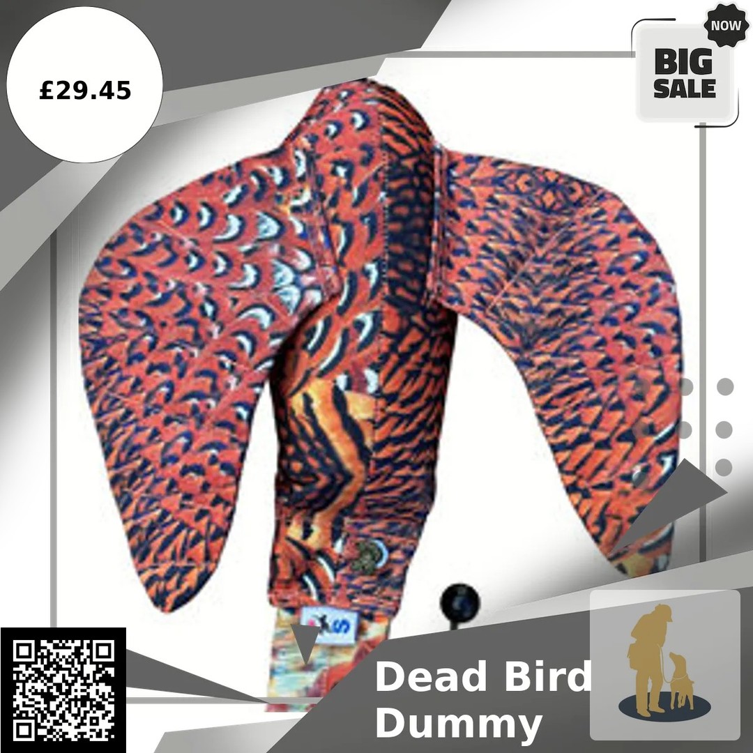 Ever wondered how to make training feel like a real hunt? 

Meet the Dead Bird Dummy! 🦅 

Crafted with wings and a tail, it mimics the experience of picking up a dead bird. Perfect for getting your dog ready for the field! 

Tried, tested, and loved by gundog trainers all over the world, this upgraded classic is a game-changer for your pup's training sessions. 

Available now for £29.45! 

Grab yours today: https://ssdlr.shop/l/c30de5e8

#DogTraining #Gundogs #SportingSaint #PetLovers #Fetch