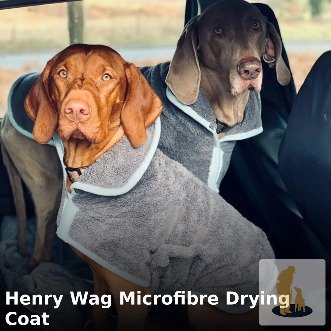 Is your pup always muddy after their adventures? 🐾 

Meet the Henry Wag Microfibre Drying Coat! 

Crafted from soft, absorbent microfibre that effortlessly wipes away dirt and moisture, it’s your new best friend for post-walk clean-ups. 

No more soggy towels and messy floors! This coat not only keeps your home clean but also supports your dog's health by reducing the risk of infections. 

Ideal after wet walks, swimming, or a bath, it’s a must-have for any dog owner. 

Now at £14.50. 

Shop here: https://ssdlr.shop/l/135425ea

#DogCare #PetHealth #DogLovers #GundogLife #HenryWag