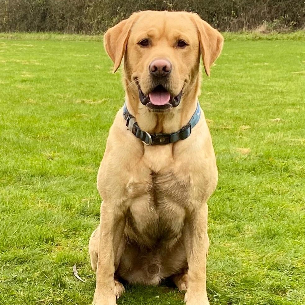 Country-Catalogue Craig