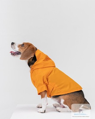 Rainy days don’t have to mean soggy pups! 🌧️

Transform your dog walks with the perfect blend of style and function. Our Waterproof Dog Raincoat with Hood keeps your furry friend dry and cozy, no matter the weather. 

Adjustable Velcro fits make it easy to find the perfect snug fit for your pooch. Plus, that comfy hood? A game-changer for those drizzly days!

Your pup deserves to strut their stuff—even in the rain. Grab yours now for $94.99!

#DogApparel #RainyDays #PetFashion #DogRaincoat #MarioChoice