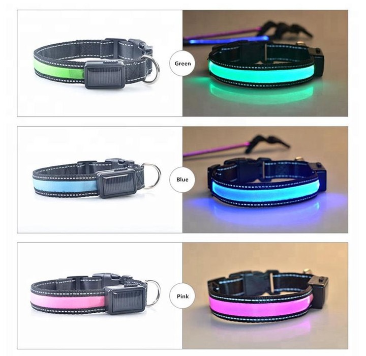 Mario's Choice llc
USB & Solar Rechargeable LED Dog Collar – Reflective, Waterproof, Night Safety
 #petaccessories #dogsupplies #catsupplies #pettoys #petgrooming #dogtoys #furbabies #petlovers #petadventures #petshop
Click the link in my BIO to see this and all our products