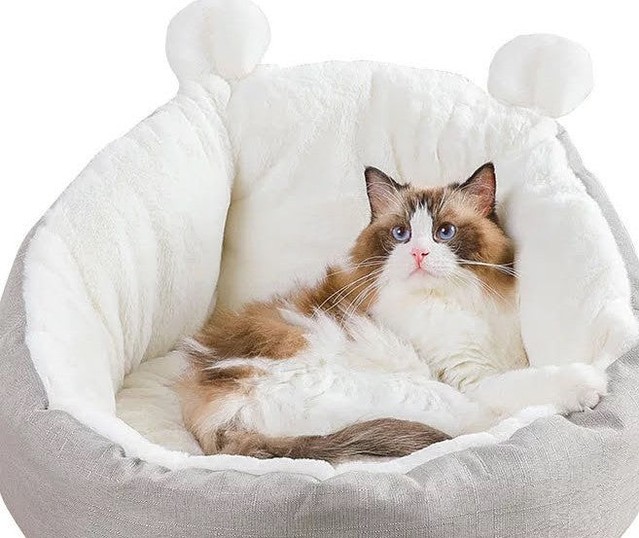 Mario's Choice llc
Fast Shipping Cat Bed Sleeping Bag – Ultra-Soft Plush, Anti-Skid Base (Grey, Medium)
 #pethappiness #petgrooming #petlovers #pettoys #furbabies #petcare #petfashion #cattreats #petadventures #petaccessories
Click the link in my BIO to see this and all our products