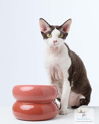 Ever wondered if your pet’s bowl could actually boost their health? 

Meet the Ergonomic Pet Bowl – your furry friend’s new mealtime companion! 

Designed with a 13 cm height, it promotes a natural eating posture, reducing strain on their neck and joints. 

Cleaning? A breeze! Its smooth, rounded surfaces and one-piece design leave no corners for food to hide. 

Stable and anti-slip, this bowl stays put even during the most enthusiastic feedings. 

Make mealtime a delight for your pet, available now for $64.99! 🐾 

👉 

#HealthyPets #PetCare #ErgonomicBowl #MariosChoice #PetLovers