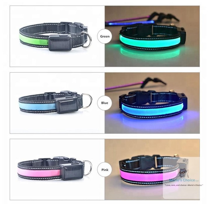 Did you know that 60% of dog accidents happen at night? 

Keep your furry friend safe and visible with our USB & Solar Rechargeable LED Dog Collar! 🌟 

With its reflective stitching and bright LED lights, your pup will shine during evening walks. Plus, the dual charging options mean you’re always prepared for adventure! 

 

#LEDDogCollar #NightSafety #RechargeableDogCollar #ReflectiveDogCollar #PetSafety