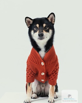 Your pup deserves to be both warm and stylish! 🐾

The Bert Cardigan Dog Sweater wraps your furry friend in cozy comfort while allowing for easy movement. Perfect for chilly walks or snuggling indoors, this sweater is a must-have for the season.

Shop now: 

#CozyPetWear #DogSweater #PetFashion #WinterDogOutfit #PetApparel