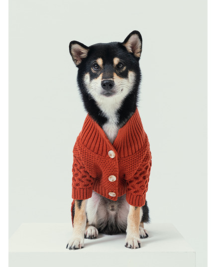 Looking for the perfect way to keep your pup cozy this season? 🐶✨

Introducing the Bert Cardigan Dog Sweater—your furry friend's new best friend! Made from soft, cozy knit fabric, this stylish sweater comes in multiple colors and sizes (XXS–XL) to fit every fur baby. 🐾💖 Whether they're enjoying a brisk walk or snuggling on the couch, your pet will radiate comfort and charm in this luxurious piece. Plus, it makes for a fantastic gift! 🎁

Why not spoil them a little? Get yours today for just $79.99! 😉 

#DogSweater #PetFashion #CozyKnit #DogLovers #PuppyStyle #PetAccessories #FurryFriends #WearableLove #PetComfort #StylishPets