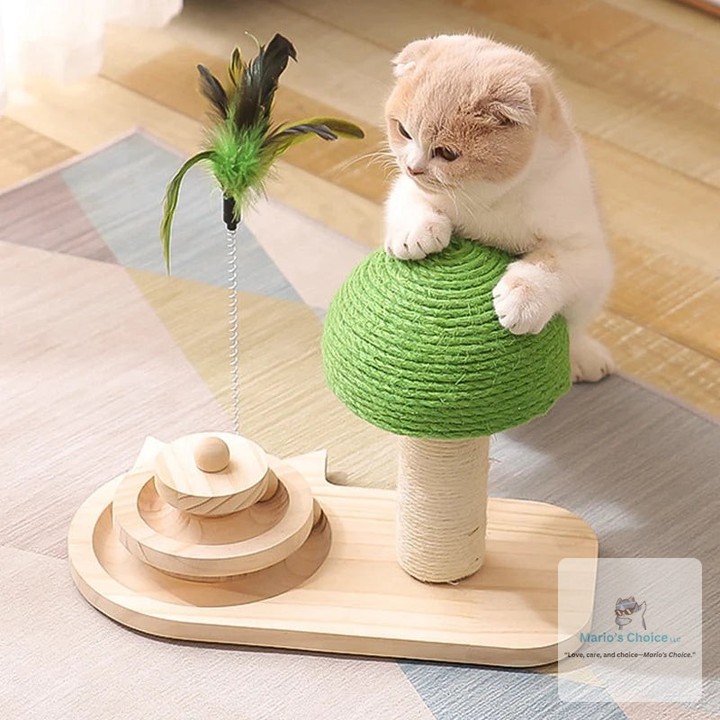 Did you know a bored cat can lead to destructive behavior? 

Keep your furry friend entertained and your furniture safe with our Interactive Cat Scratching Post! 

With a sturdy design, feather toy, and rolling balls, it's the purr-fect way to satisfy their scratching and hunting instincts. 

#CatScratchingPost #InteractiveCatToy #CatPlaytime #PetToys #HappyCats
