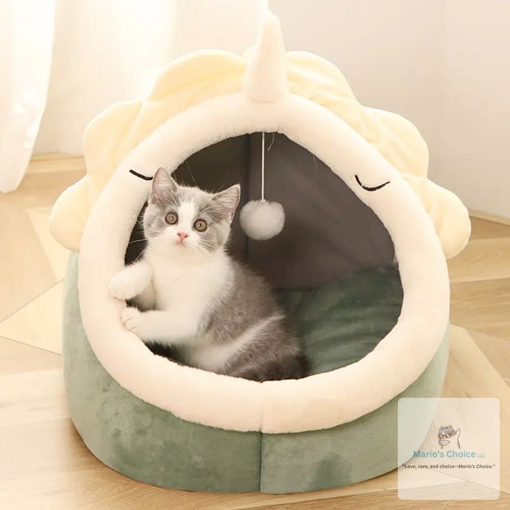 Who says pets can't have their own dino-mite hideaway? 🦖 

The Adorable Dinosaur Pet House is not just a bed; it’s a cozy retreat for your furry friend. With soft padding and a fun hanging toy, it’s perfect for naps and playtime. 

Treat your pet to their new favorite spot! 

 

#PetComfort #DinosaurBed #CozyPetHideaway #PetFurniture #CuteCatHouse