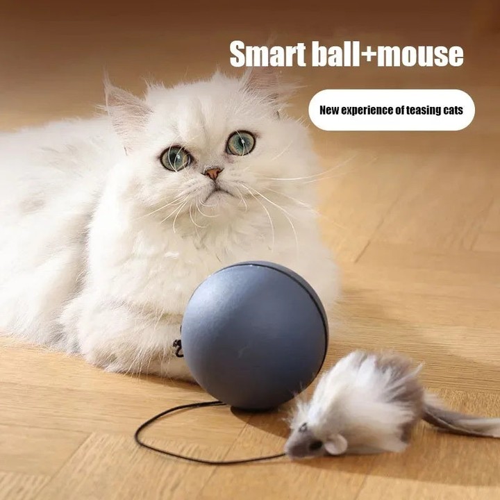 Unmissable deal! Electric Cat Teaser Ball with Plush Mouse – Interactive Rolling Toy for Cats, now at an incredible price of $17.99! Grab it now!
#petcare #petaccessories #pettoys #petgrooming #petwellness #pethappiness #petproducts #furbabies #dogsupplies #catsupplies