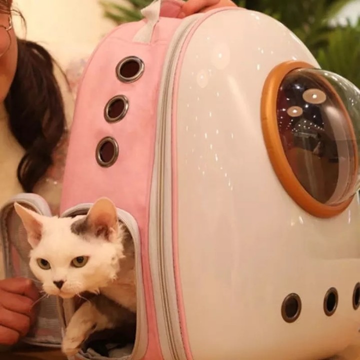 👉 Comment "Shop" order this item 👈

Space Capsule Transparent Pet Carrier Backpack 👇
Whether with charged/electric:no Bag size:Large Pieces:1-piece Imported Product Measurements (Measurements by inches) & Size Conversion Size Actual Length Actual Width Actual Height One Size 13 9.1 16.9 https://zenithpets.com/products/space-capsule-transparent-pet-carrier-backpack