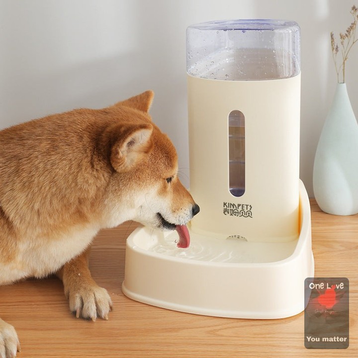 Did you know that hydration is key to your pet's happiness? 🐾 

Make water worries a thing of the past with our Cat Pet Waterer! 

Crafted from eco-friendly materials, this sleek feeder holds a whopping 3800ml, ensuring your furry friend stays refreshed throughout the day. 

With a clever siphon mechanism, it provides a continuous water supply without leaks. 

Available now for $50.00—because your pet deserves the best! 

Check it out: https://zenithpets.com/products/cat-pet-waterer

#PetLovers #HydrationHero #EcoFriendlyPets #HappyPets #ZenithPets