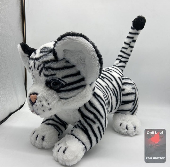 Why settle for ordinary when your child can have a plush companion that sparks imagination? 🐾 

Meet the curious pet tiger! This genuine plush toy is not just soft and huggable—it’s a ticket to endless adventures. 

Whether they're embarking on a jungle expedition or cuddling during storytime, this tiger is ready to be a loyal friend. 

Snag this playful companion now for just $19.99! 

Shop here: https://zenithpets.com/products/genuine-pet-friend-plush-toy-curious-plush-pet-tiger-toy-girl

#PlushToys #KidsImagination #TigerFriend #CuddleBuddy #ZenithPets