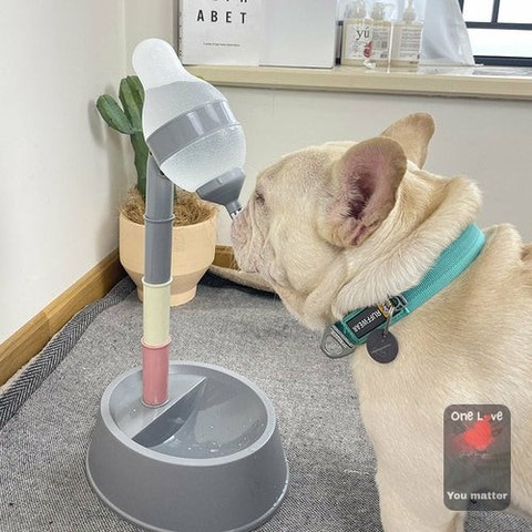 Did you know your pet's hydration is just as important as their food? 

Meet the Automatic Pet Water Dispenser Stand Feeder! 

Crafted from safe, food-grade plastic, it keeps your furry friend healthy while ensuring they always have fresh water at their paws. 

With an adjustable height feature, it’s perfect for pets of all sizes. 

Plus, refilling and cleaning it is a breeze! 

Your pet deserves the best. 

Available now for $38.50. 

https://zenithpets.com/products/automatic-pet-water-dispenser-stand-feeder-bowl-adjusting-height

#PetCare #HappyPets #HydrationMatters #ZenithPets #PetAccessories