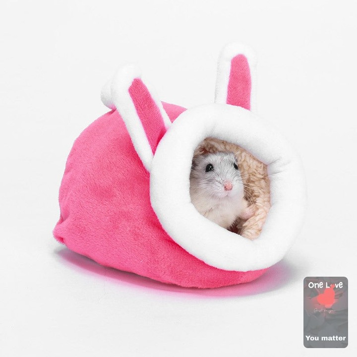 Who knew a cozy little nest could mean the world to your furry friends? 🐹 

This Pet Mini Cotton Nest is more than just a sleeping spot; it’s a warm hug for your hamster, squirrel, or sugar glider! 

Crafted from soft cotton, it’s perfect for snuggling up during those chilly winter nights. 

Give your pet the comfort they deserve—all for just $11.99! 

Your little ones will thank you! 

Shop now: https://zenithpets.com/products/pet-mini-cotton-pet-nest-sleeping-nest-warm-nest-winter-hamster-cotton-pet-nest-djungarian-hamster-squirrel-sugar-glider-small-size 

#PetComfort #HamsterHappiness #CozyNest #FurryFriends #SmallAnimalCare