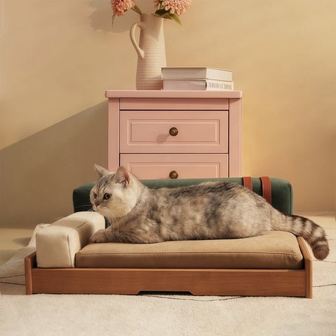 👉 Comment "Shop" order this item 👈

Modern Wooden Pet Bed for Cats & Dogs – Oak Veneer Frame with 👇
Specifications Place of Origin #originPlace# Main Color Wood Main Material Wood Dangerous Goods #dangerFlag# Dimensions & Weights Assembled Length (in.) Not Applicable Assembled Width (in.) Not Applicable Assembled Height (in.) Not Applicable Weight (lbs) Not Applicable Product Features Furniture-Grade Wood Frame: Crafted with high-quality natural oak veneer over a multi-layer solid wood core. This sturdy, stable frame features a mid-century modern design meant to complement your home décor, not hide from it. Scratch-Resistant & Pet-Friendly Fabric: Upholstered in durable 'cat scratch' chenille fabric, designed to stand up to claws, kneading, and daily wear. It offers a soft touch for comfort but is tough against tearing. High-Resilience Foam Cushion: Filled with premium, high-rebound polyurethane foam that provides lasting support without sagging or flattening. Offers orthopedic-level comfort for pets of all ages. Removable & Machine Washable Cover: The cushion cover features a full-zip design that comes off easily for cleaning. Simply toss it in the wash—it's designed to resist pilling and fading for no-fuss maintenance. Built-In Interactive Toy: Includes a soft plush toy dangling from the frame. The toy is height-adjustable and replaceable, keeping cats curious and dogs entertained right where they sleep. Non-Slip & Floor-Friendly Base: Four anti-slip pads keep the bed securely in place on hardwood, tile, or carpet, preventing scratches and sliding. Description https://zenithpets.com/products/modern-wooden-pet-bed-for-cats-dogs-oak-veneer-scratch-resistant